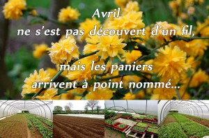 en avril-mai